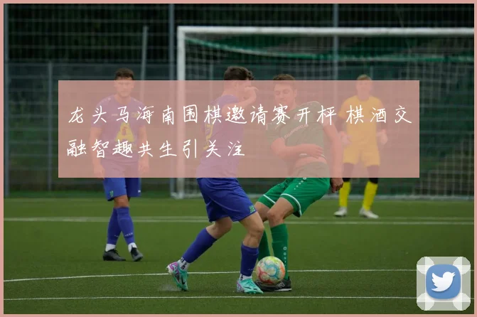 龙头马海南围棋邀请赛开枰 棋酒交融智趣共生引关注